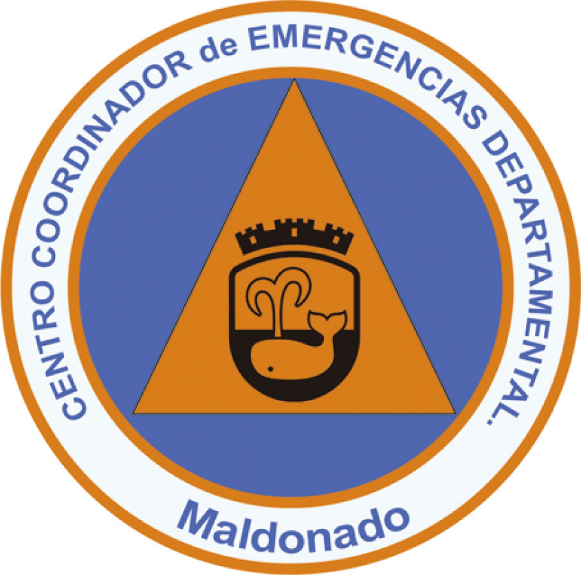 Coordinadores online