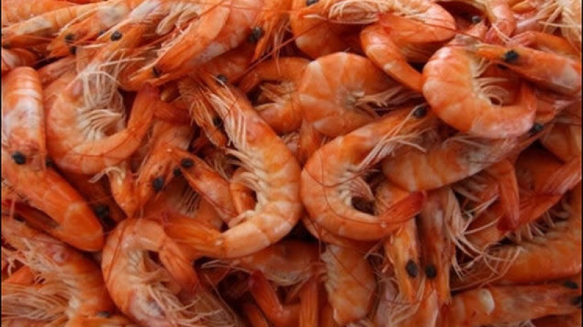 Zona de pesca
