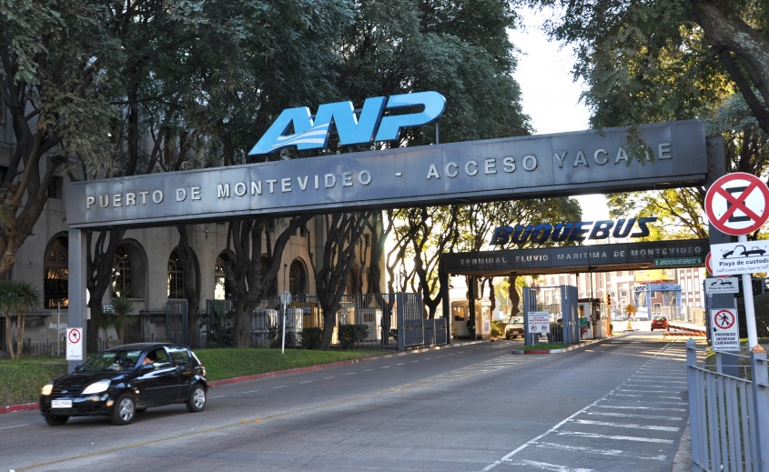 Entrada y salida