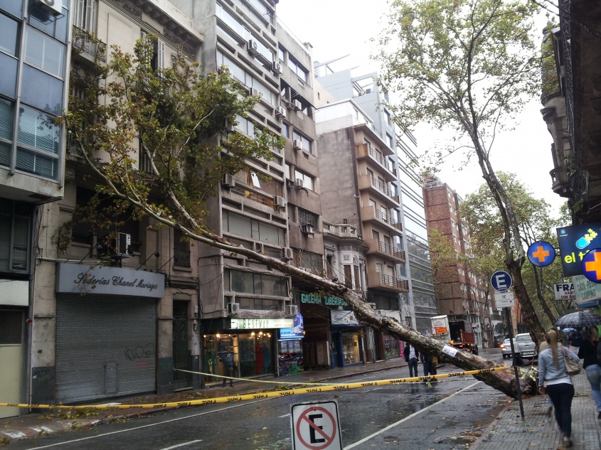 Consecuencias de la lluvia