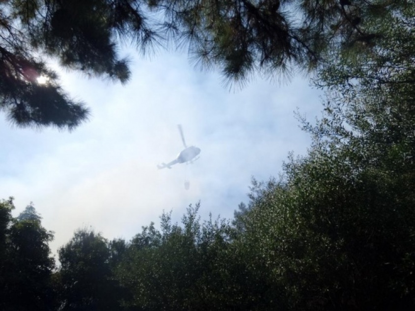 Controlado con apoyo de FAU