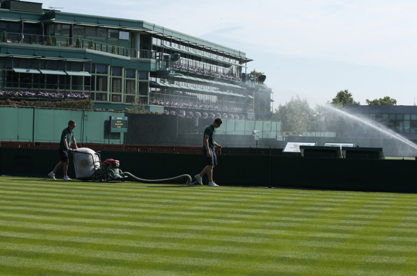 Verde tradici&oacute;n