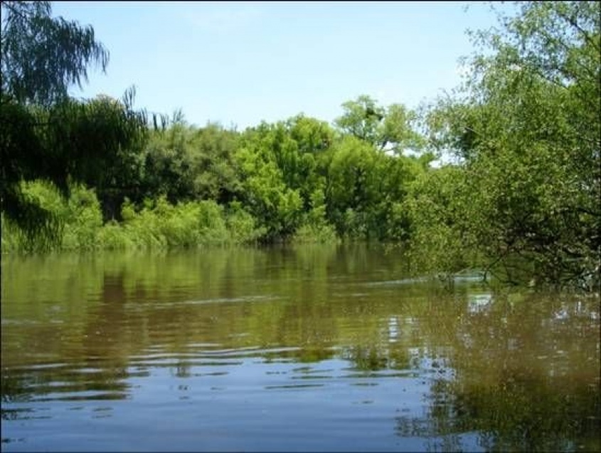 Con protecci&oacute;n