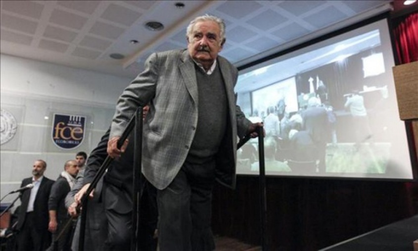 Reconocimiento vecino