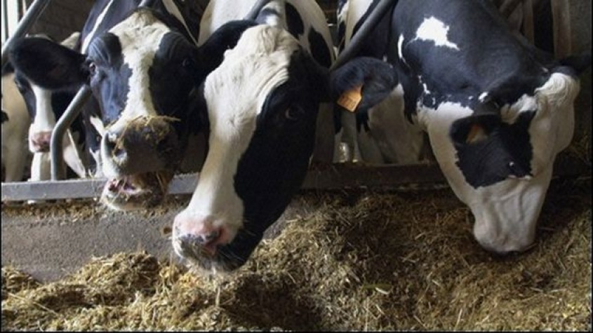 El campo en tus manos