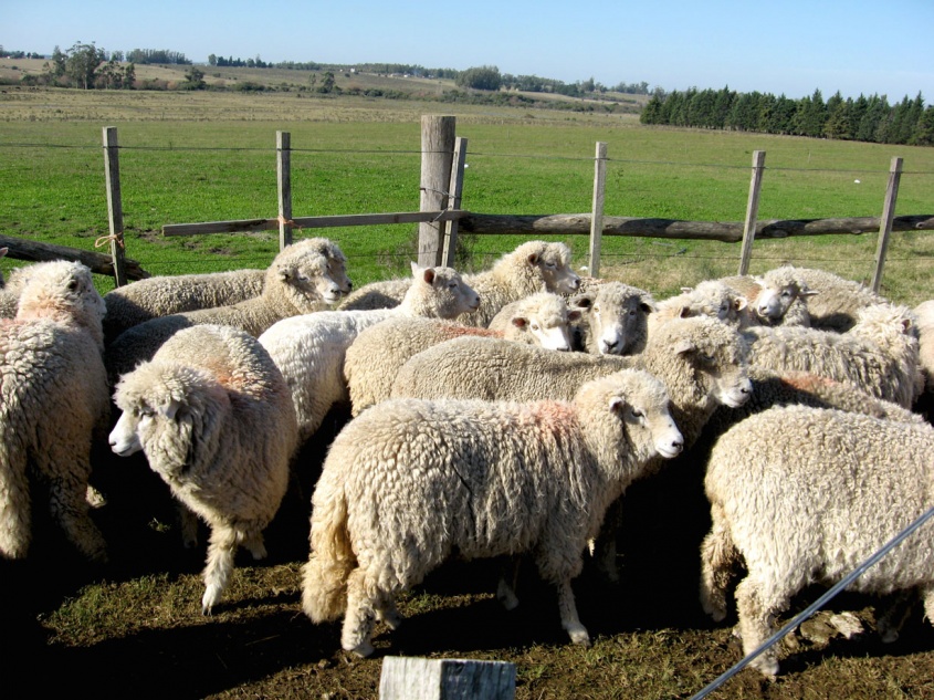 P&eacute;rdidas cuantiosas