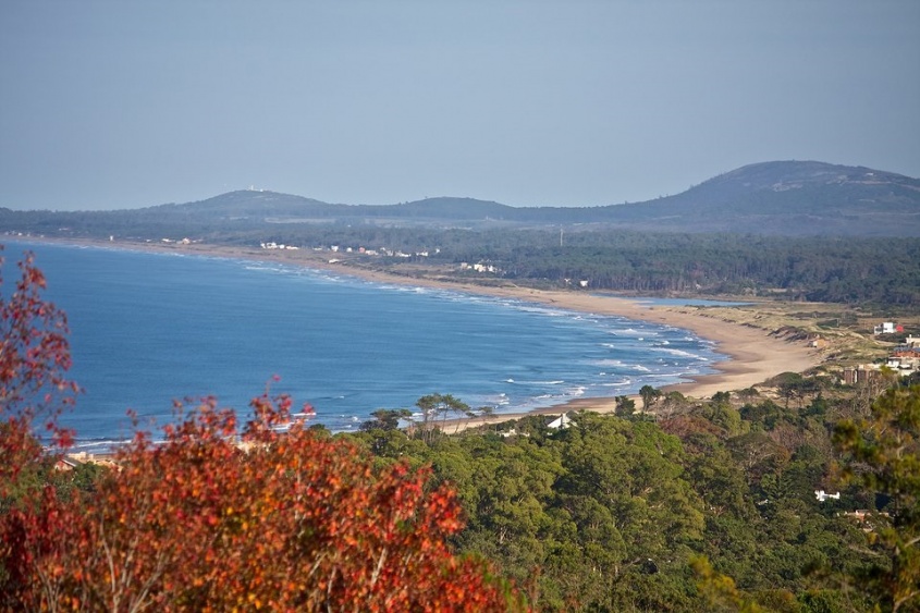 Sigue la b&uacute;squeda