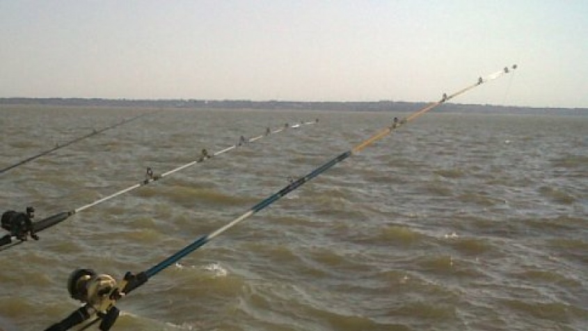 Pescadores alertas