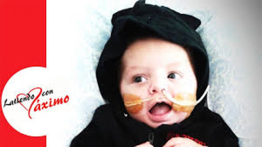 M&aacute;ximo espera tu ayuda