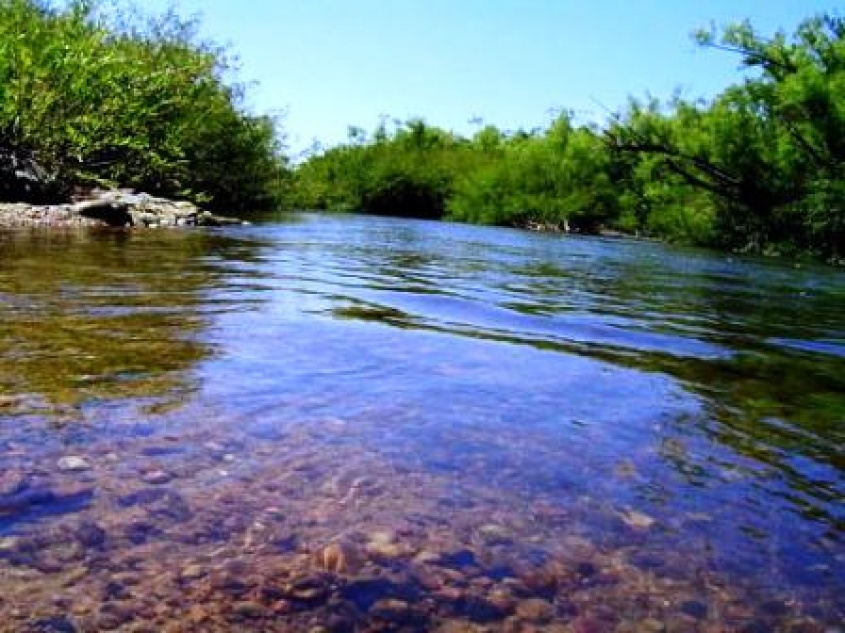 Lleg&oacute; el apoyo