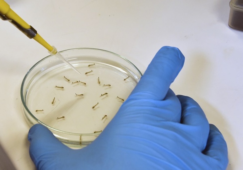 M&aacute;s vale prevenir...