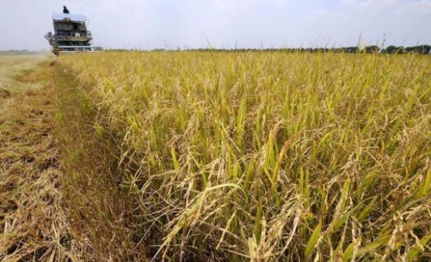 Reacci&oacute;n oficial