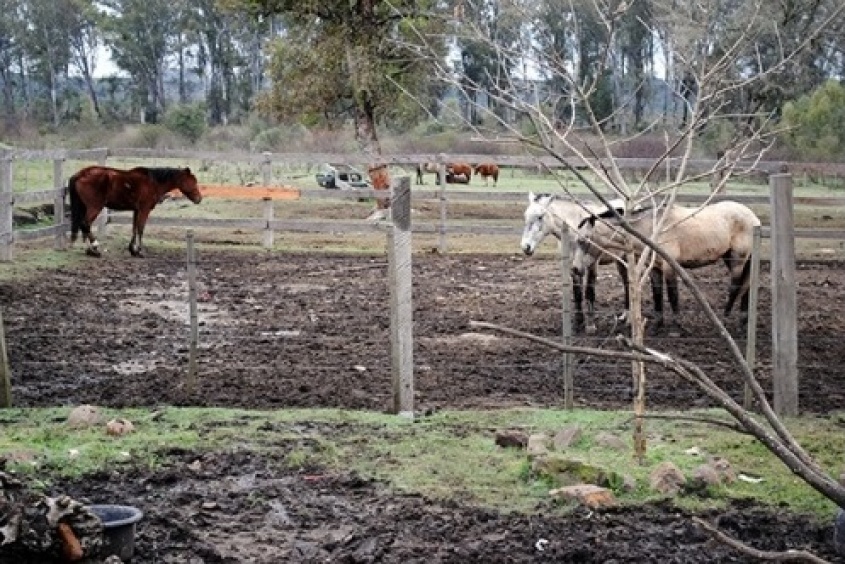 Decisi&oacute;n provoca malestar