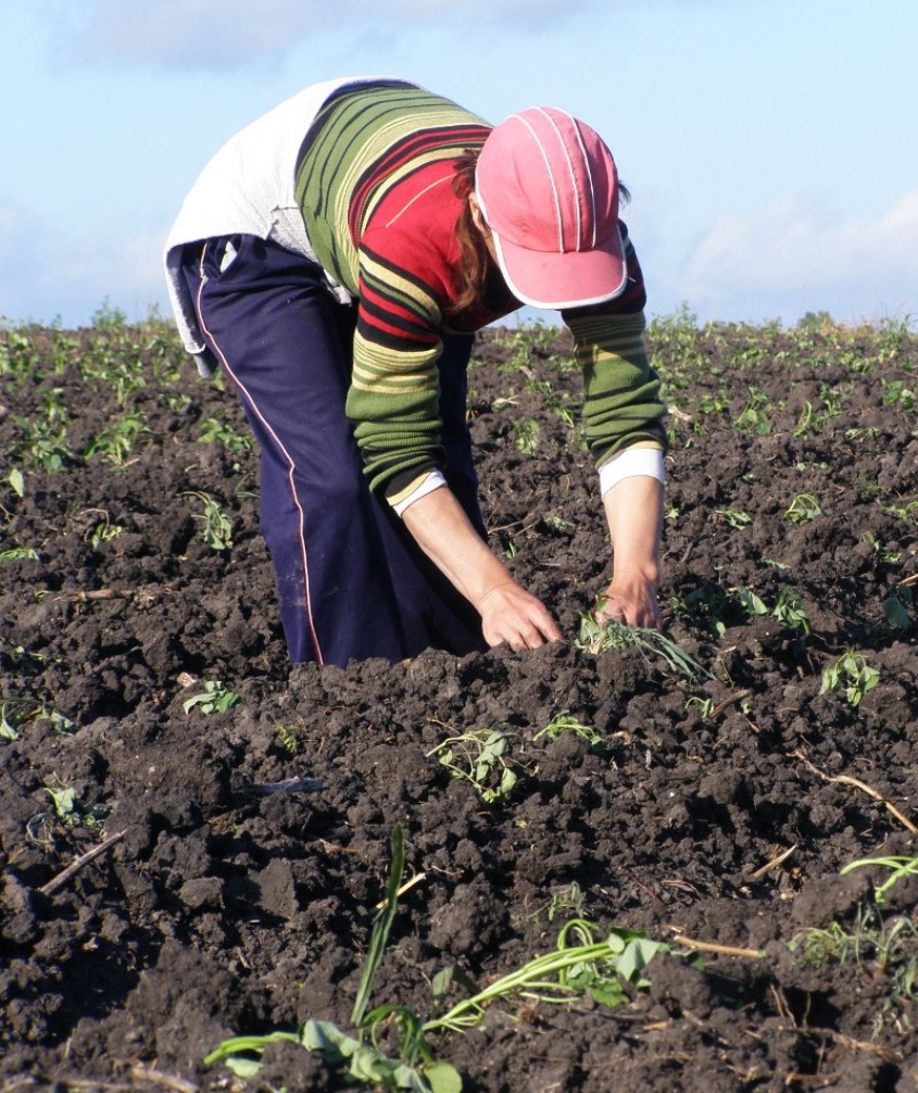 Tus manos, mis manos