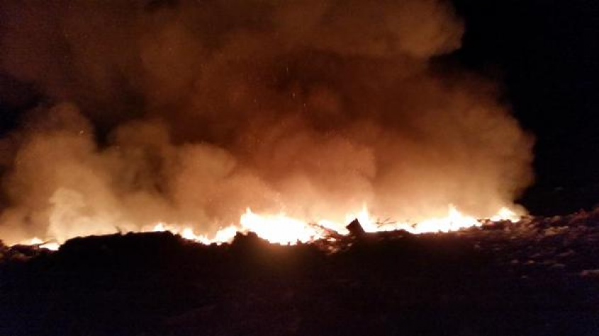 &iexcl;Que vengan los bomberos!