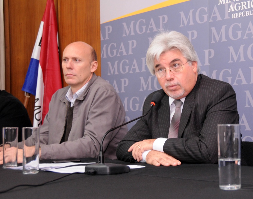 Vamos por m&aacute;s