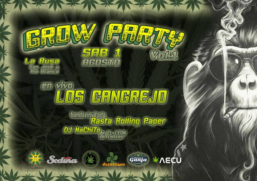 Viva la M&uacute;sica