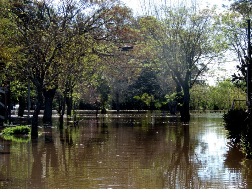 Consecuencia del agua