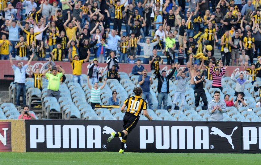 Tarde aurinegra