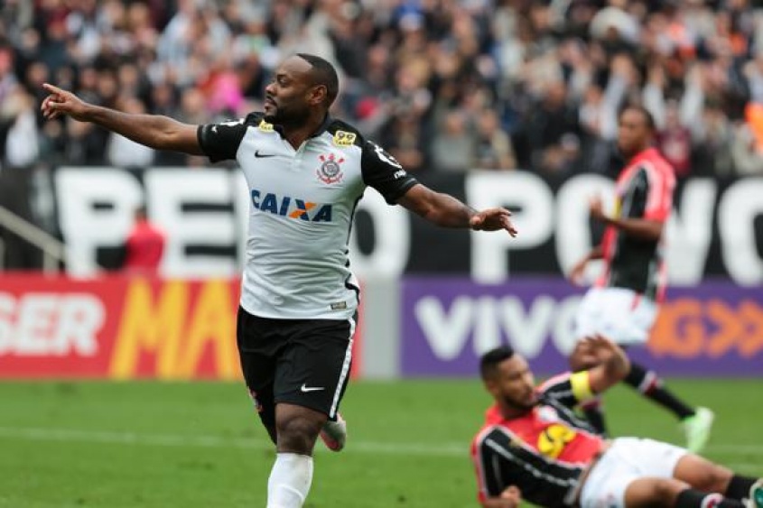 Timao en la cima