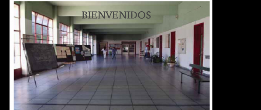 Varios dias
