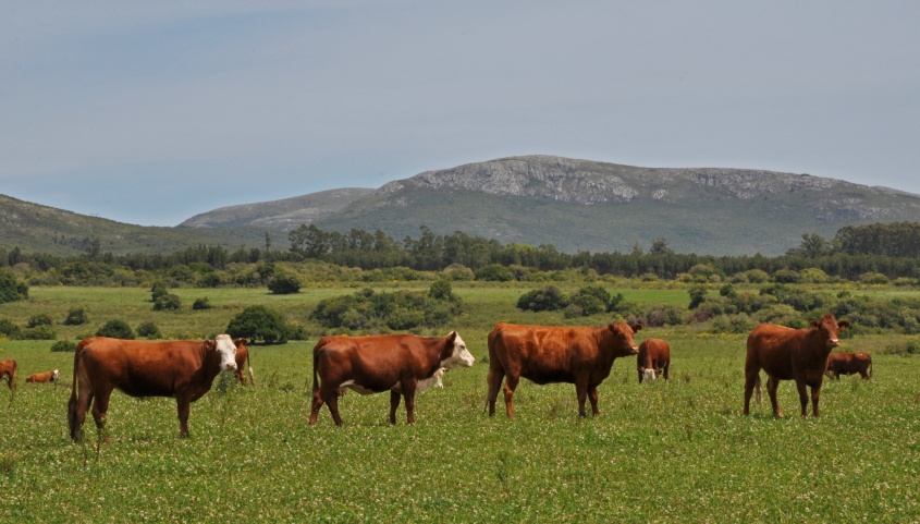 Yo creo en t&iacute;