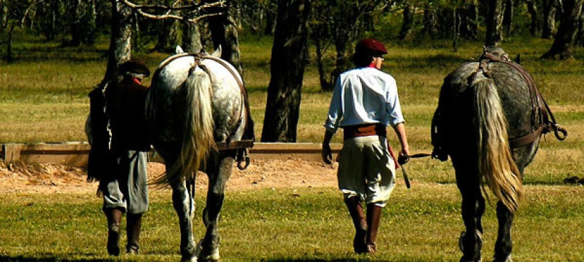 Precauci&oacute;n sanitaria