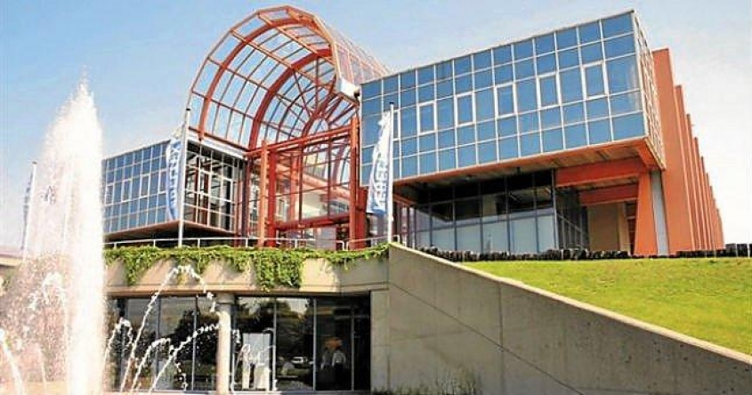 Elecci&oacute;n local