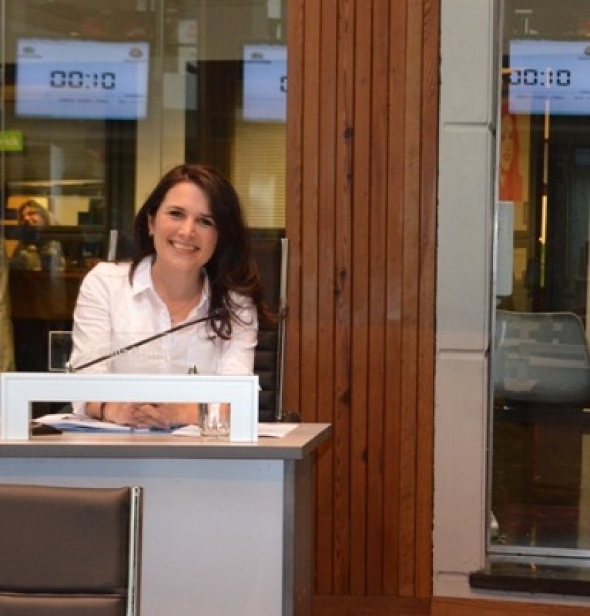 Reducci&oacute;n de da&ntilde;os