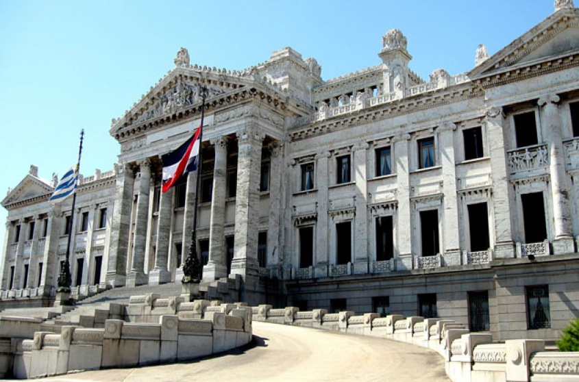 Bajo la lupa