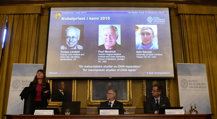 Ciencia premiada