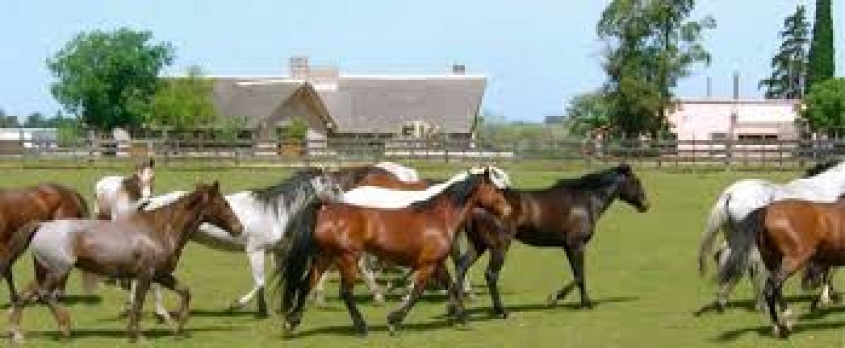 Preocupaci&oacute;n en la frontera