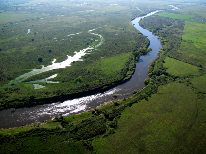 Pérdida ambiental