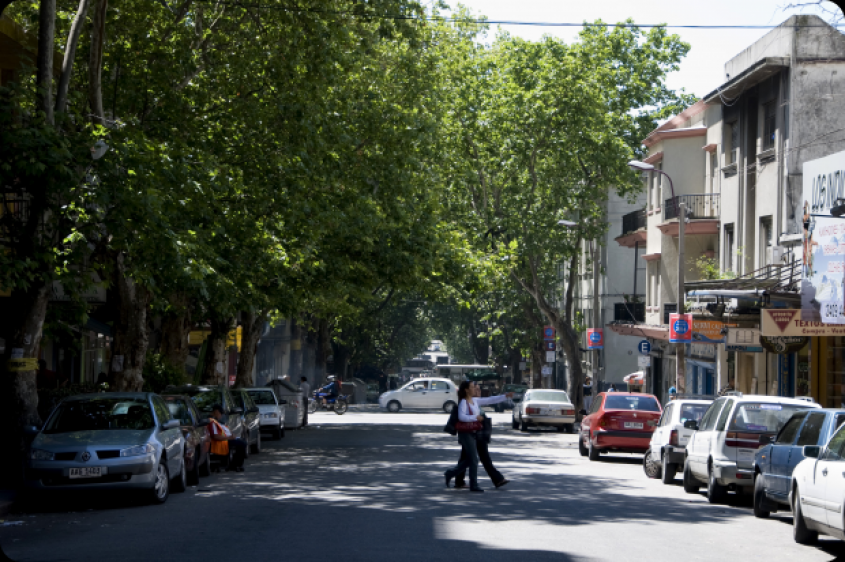Paseo cultural