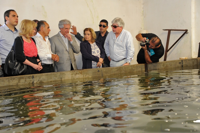 Calidad en el agua
