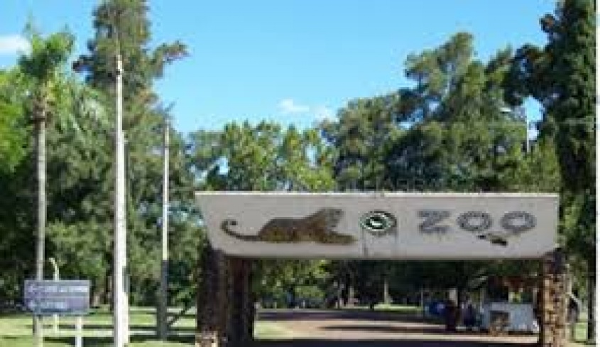 Decisi&oacute;n tomada