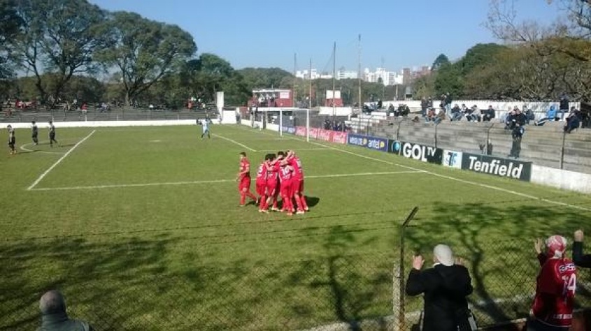 Bicho internacional