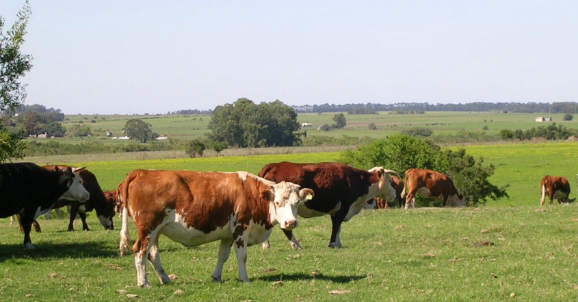 La tierra es m&iacute;a, tuya, pero no de aquel 