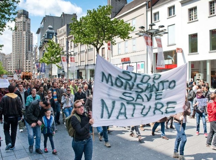 No tan MonSANTO