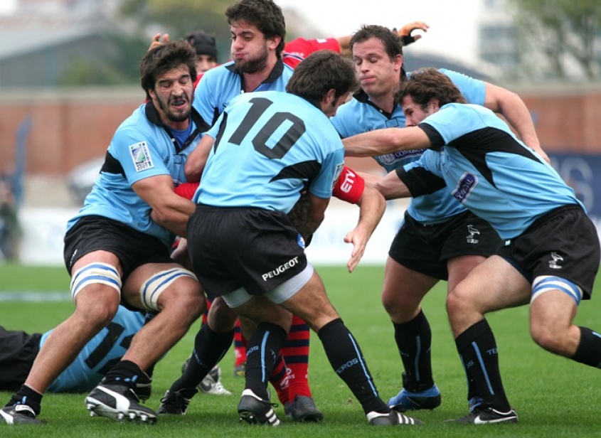 Teros volando alto