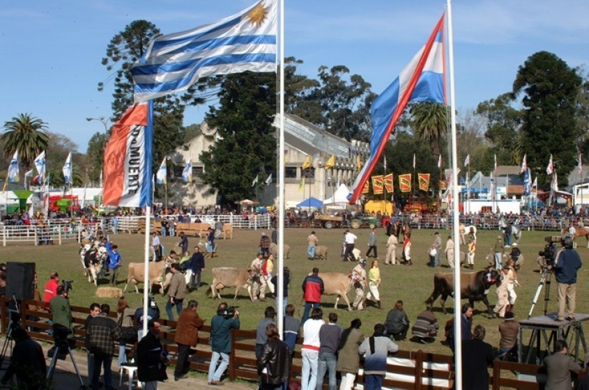 Todos contentos