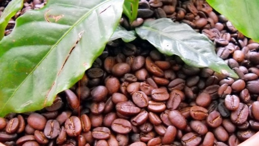 Menos grano