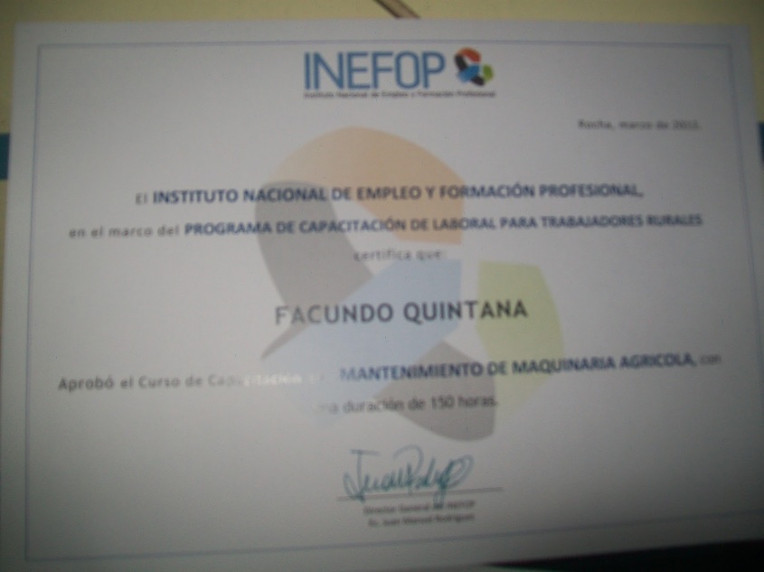 Capacitaci&oacute;n profesional