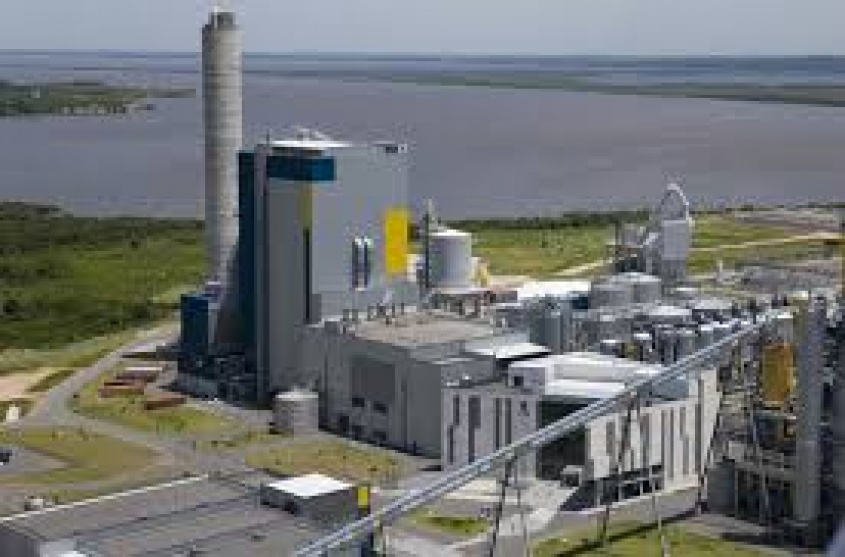 Medio ambiente lucrativo