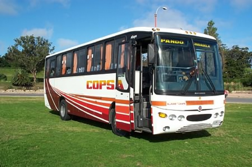 Transito libre