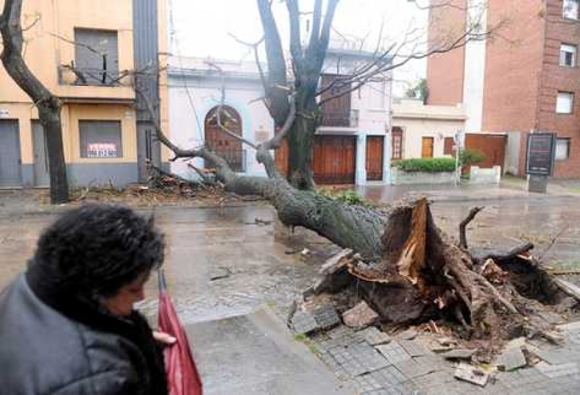 Lamentable