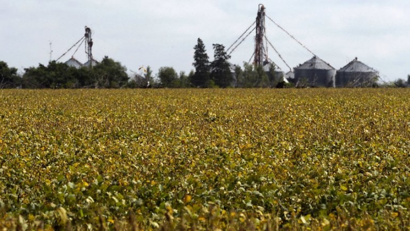 Plantación de las polémicas