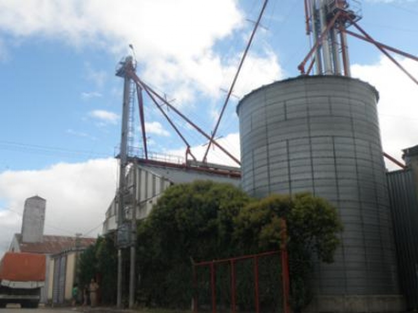 Semillero nuevo
