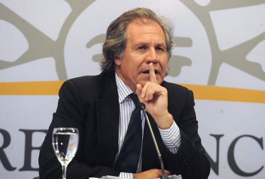Muestra Internacional