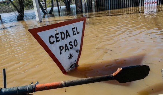M�s de 200 familias autoevacuadas en Melo: "Cuando quisieron ver, el agua ya les hab�a entrado y sub�a de manera alarmante"